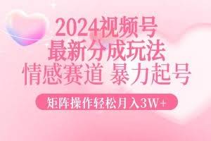 （12922期）2024最新视频号分成玩法，情感赛道，暴力起号，矩阵操作轻松月入3W+