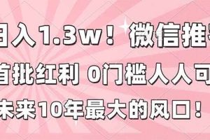 （16969期）日入1.3w！微信推客，首批红利，未来10年最大的风口，0门槛，人人可做！