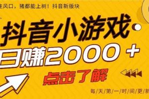 （16832期）2025年爆火的抖音小游戏项目，一部手机日入2000+
